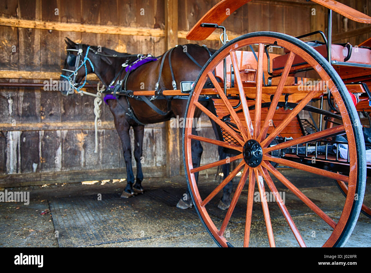 Un Cheval et buggy Amish parqué dans un magasin de la chaîne à Landcaster, Pennsylvanie. Banque D'Images