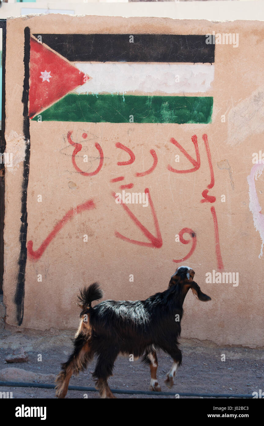 Jordanie : une chèvre et un drapeau jordanien peint sur un mur dans la Réserve de biosphère de Dana, une zone protégée Banque D'Images