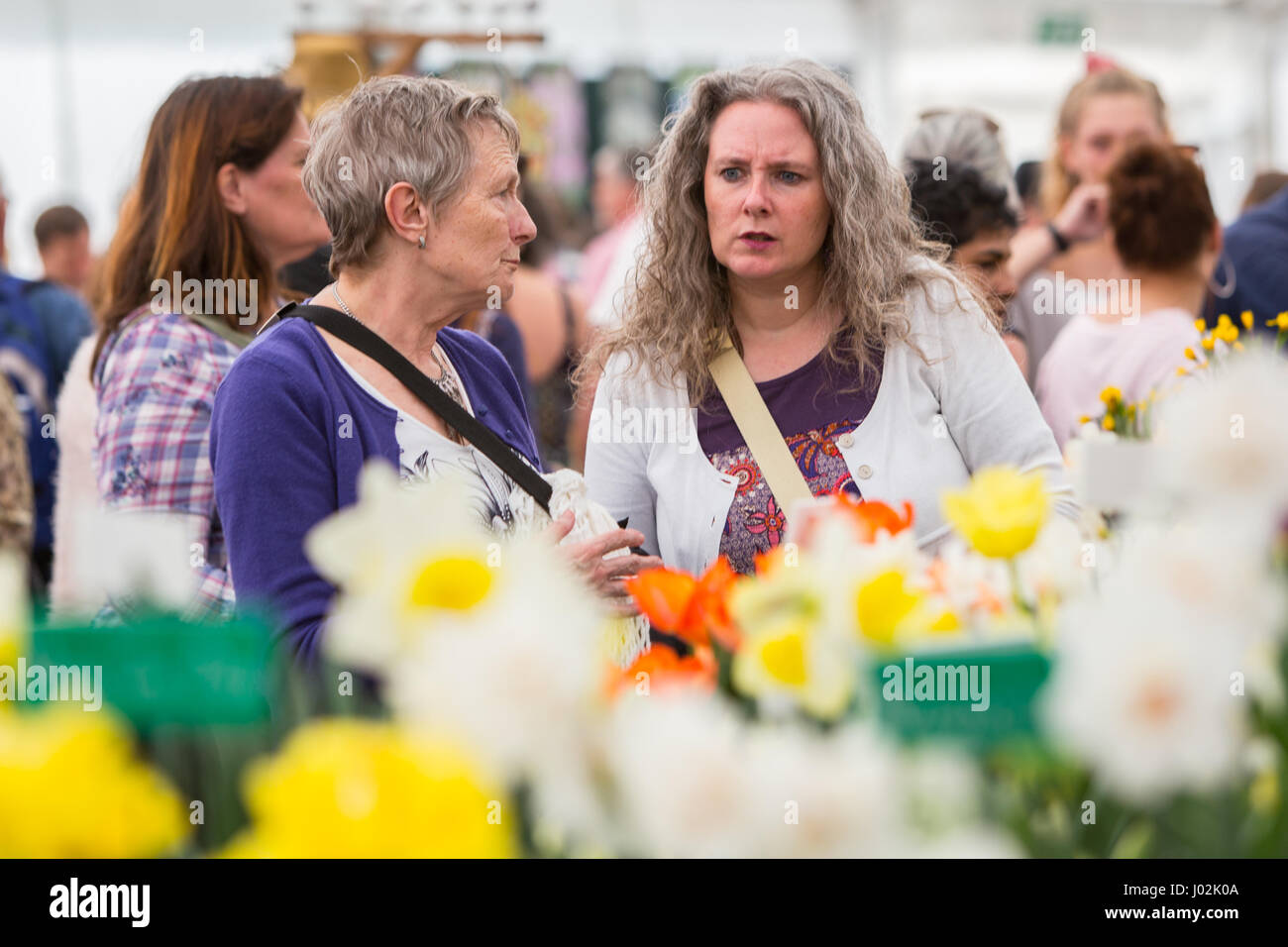 Cardiff, Wales, UK. Le 9 avril, 2017. Des milliers de personnes bénéficient d'une journée ensoleillée à la Royal Horticultural Society show à Cardiff, aujourd'hui 9 avril 2017. Le spectacle a lieu dans Bute Park dans le centre de la ville. Crédit : Chris Stevenson/Alamy Live News Banque D'Images