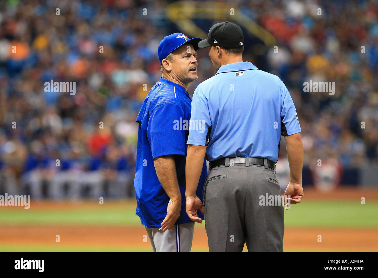 Saint Petersburg, Florida, USA. Apr 9, 2017. Vous VRAGOVIC | fois.Blue Jays de Toronto manager John Gibbons (5) a mots avec Stu Scheurwater juge-arbitre (85) après la double par Rays de Tampa Bay center fielder Kevin Kiermaier (39) dans la troisième manche du match entre les Blue Jays de Toronto et les Rays de Tampa Bay au Tropicana Field à Saint-Pétersbourg, en Floride, le dimanche 9 avril, 2017. Credit : Vragovic/Tampa Bay Times/ZUMA/Alamy Fil Live News Banque D'Images