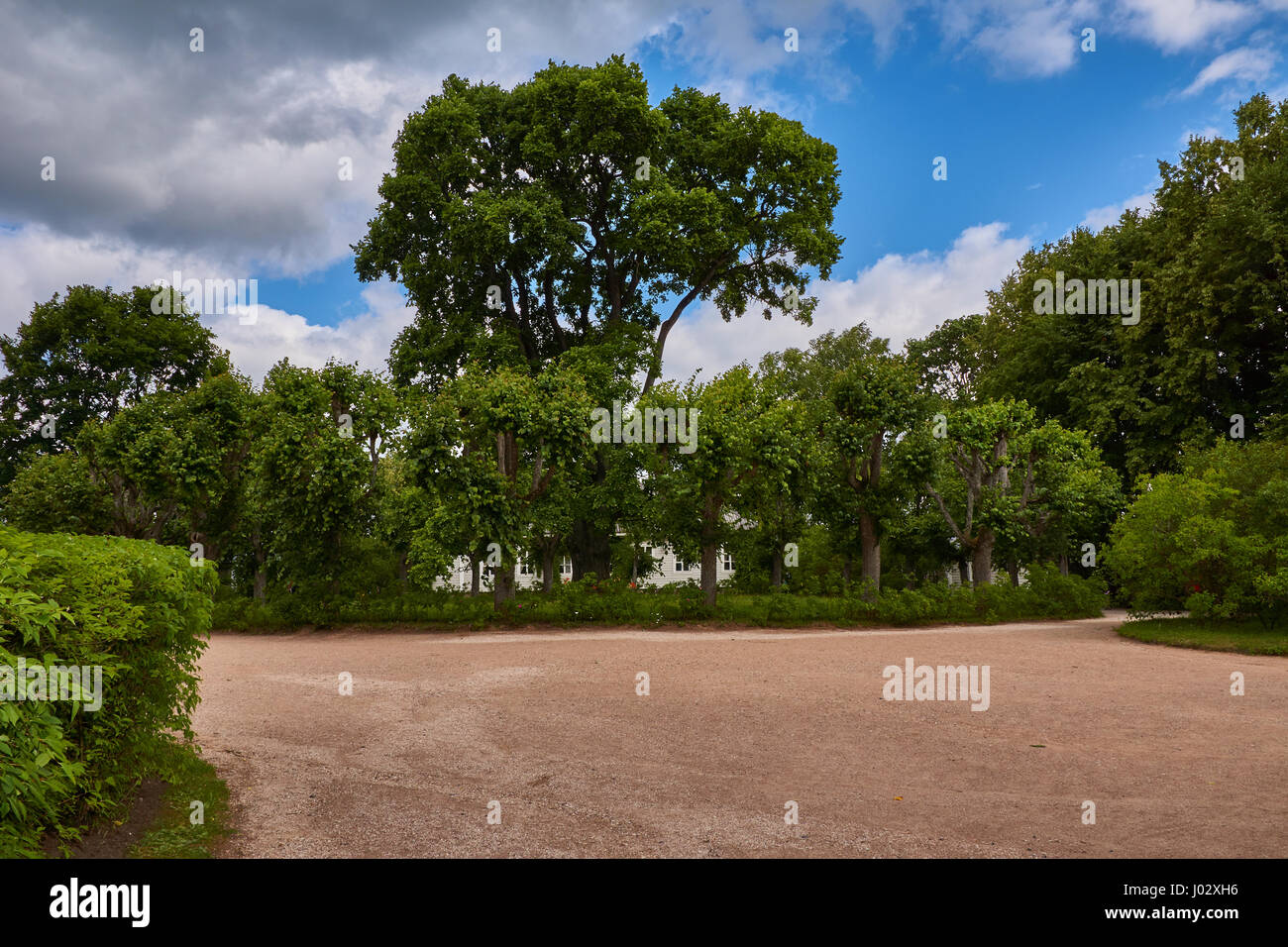 Le point de vue de l'entrée principale de l'arbre en face de la maison mère de Pouchkine. Grand parking en face du manoir. Banque D'Images