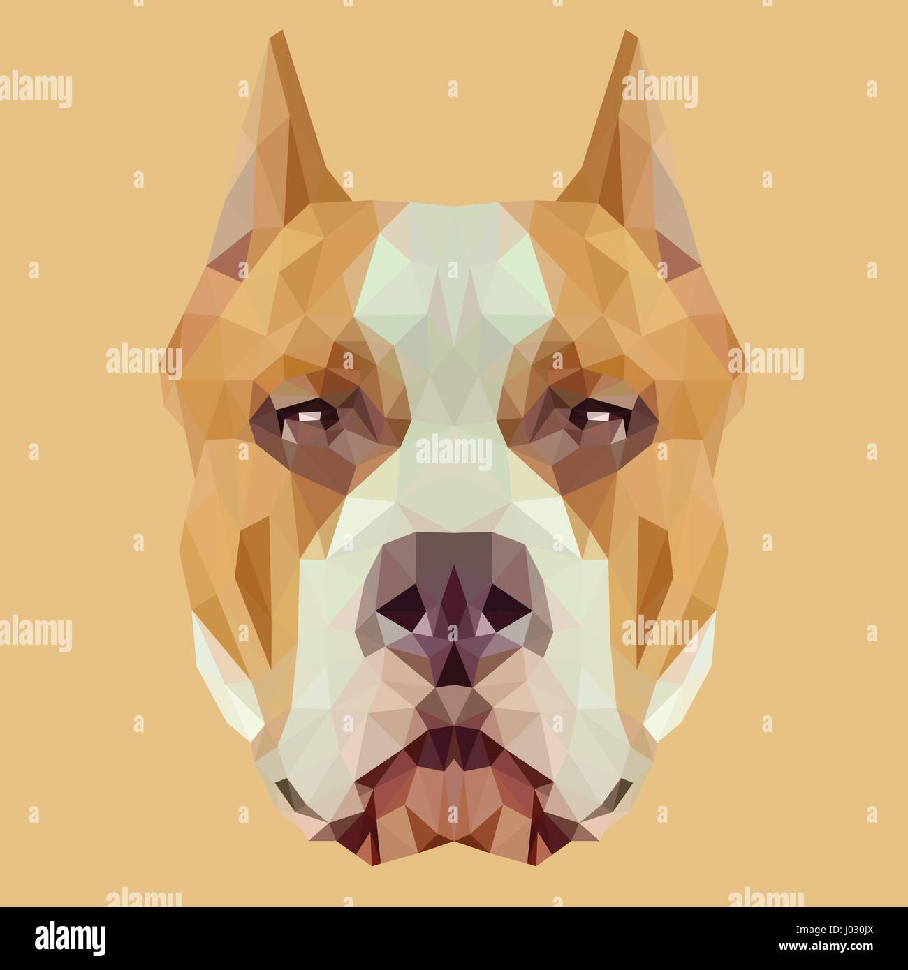 American Staffordshire Terrier chien animal low poly design. Illustration vecteur de triangle. Illustration de Vecteur