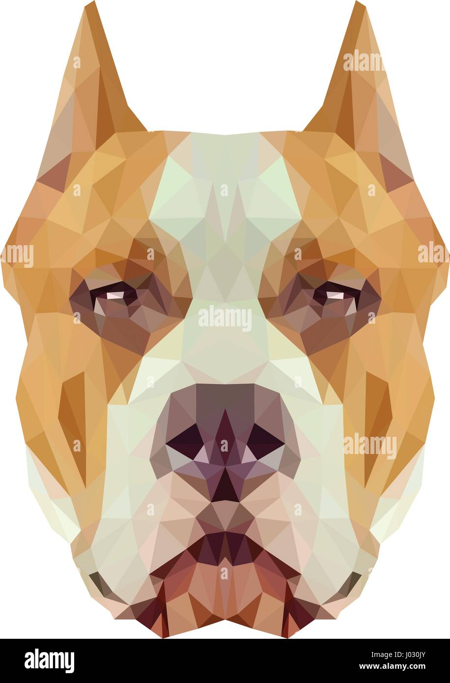 American Staffordshire Terrier chien animal low poly design. Illustration vecteur de triangle. Illustration de Vecteur