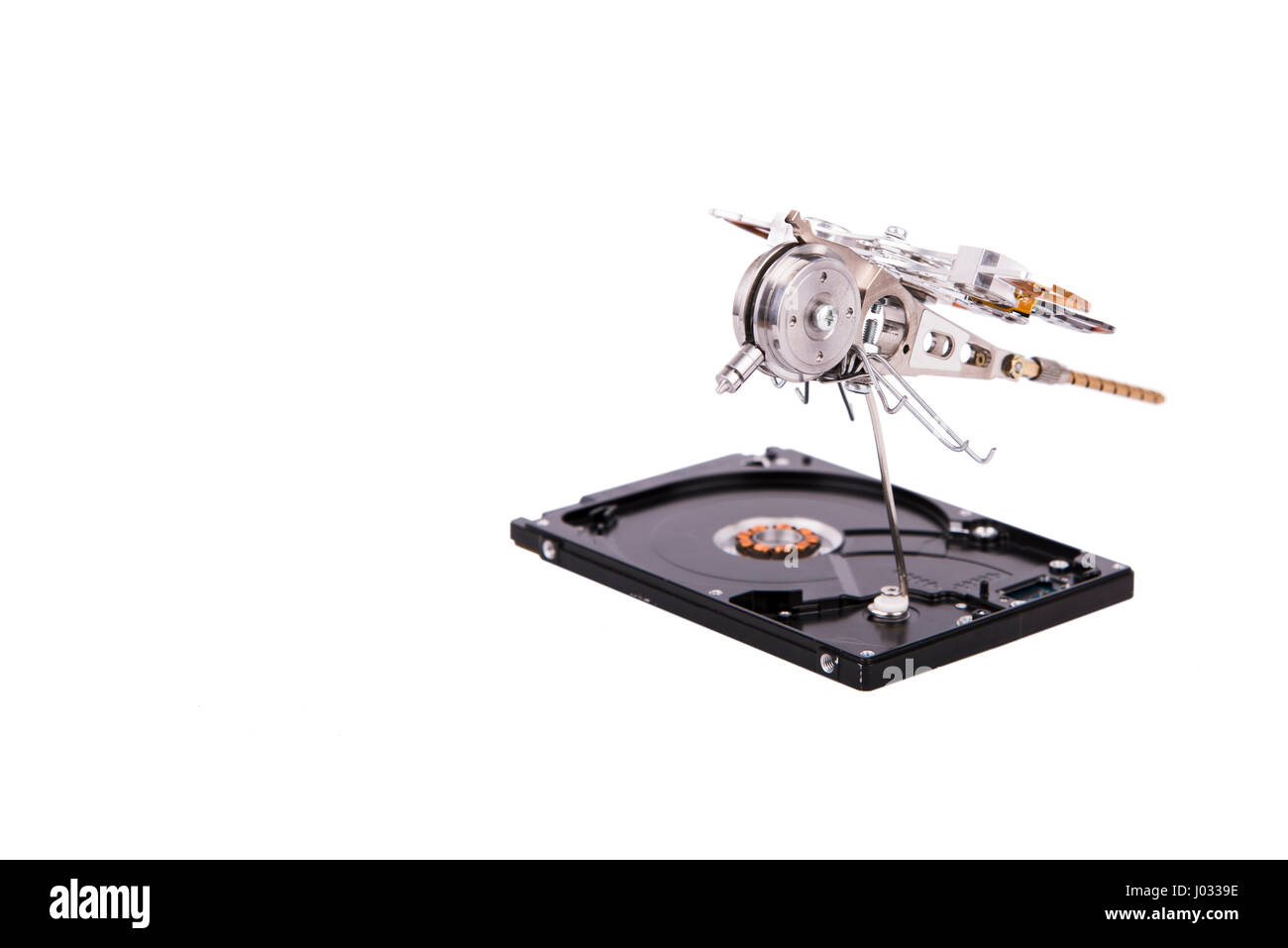 Ensemble de libellule en métal fait à la main à partir de certaines parties de l'ancien disque dur, steampunk Banque D'Images