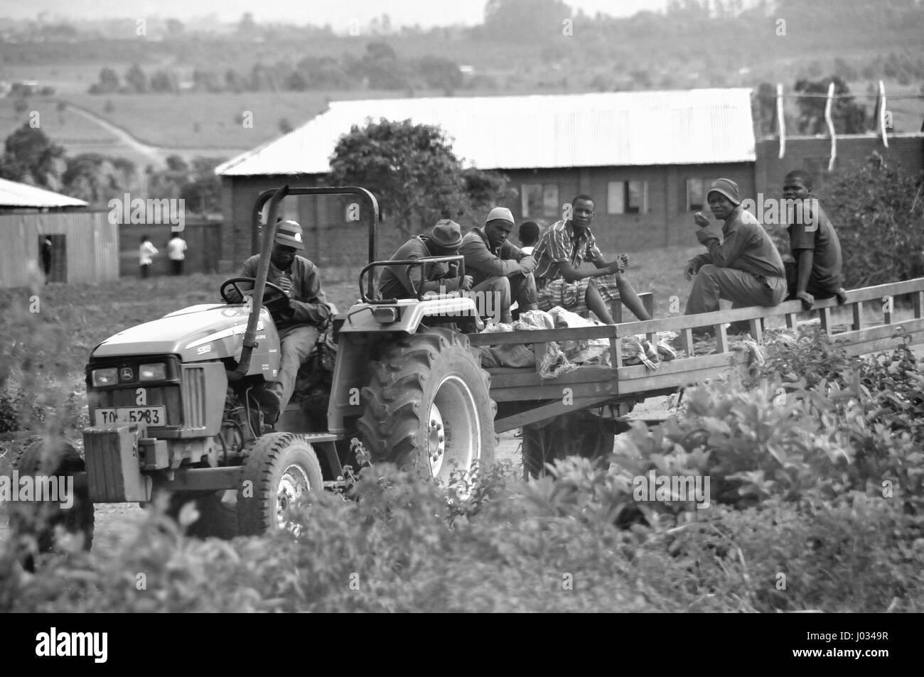 Les Africains sur chariot Banque D'Images