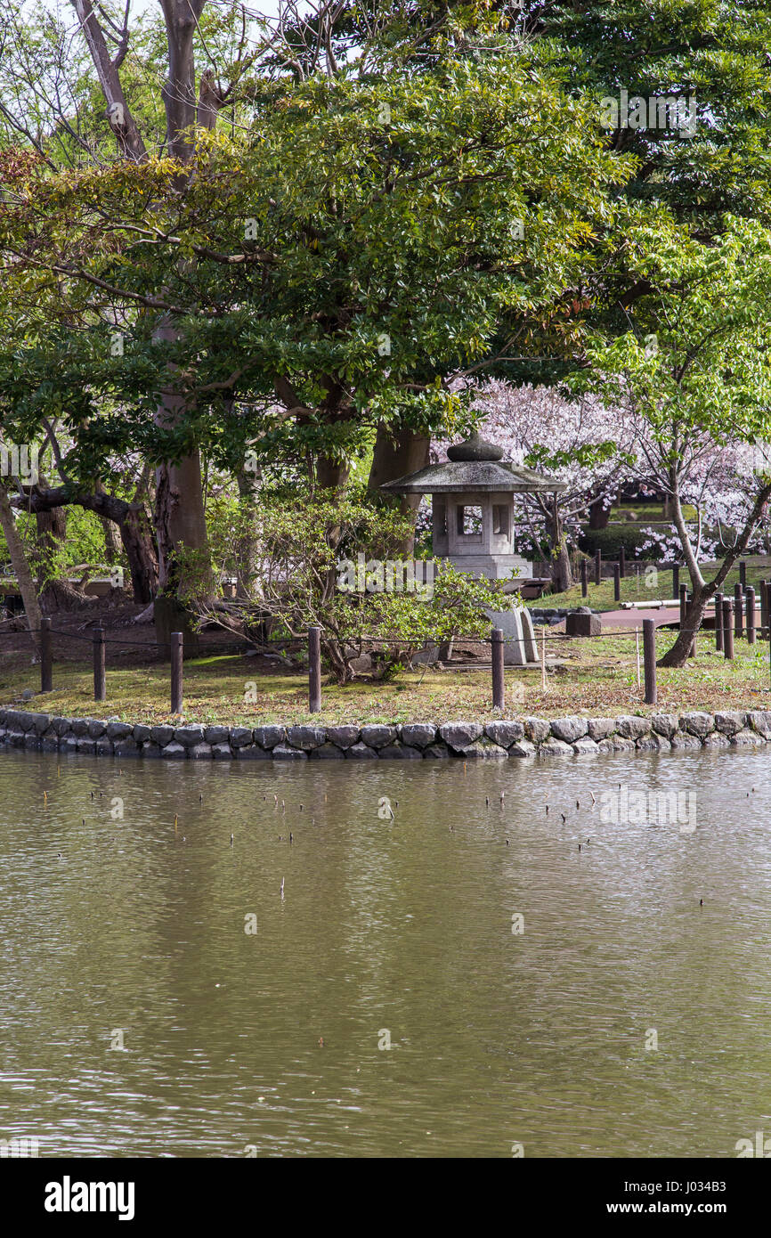 L'étang au Sanctuaire Tsurugaoka Hachimangu est l'une des plus célèbres places à Kamakura pour sakura. La pivoine à cinq Jardin Tsurugaoka Hachi Banque D'Images