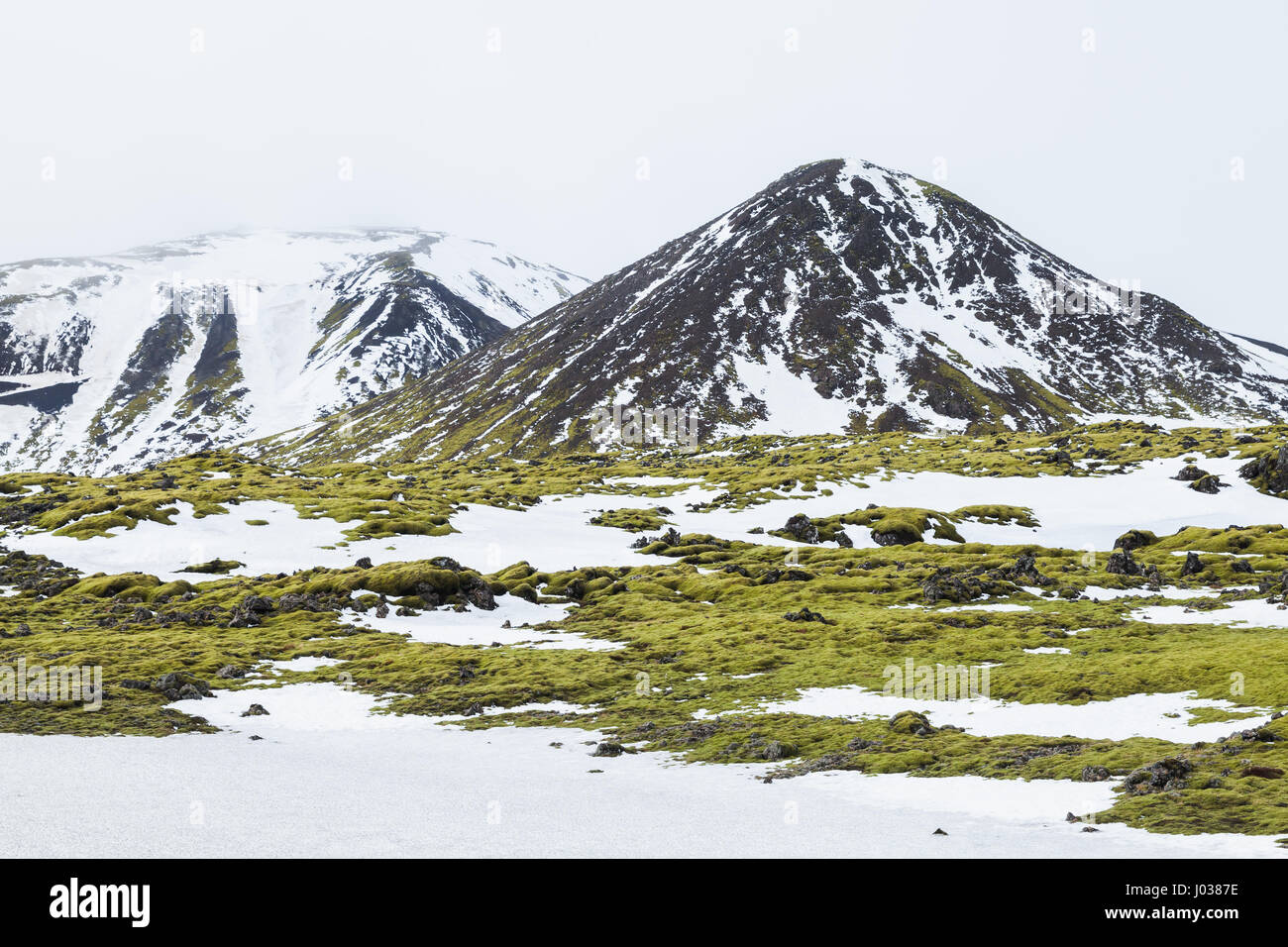Paysage islandais Misty avec neige, vert mousse poussant sur les rochers et les montagnes Rocheuses, la côte sud de l'Islande Banque D'Images