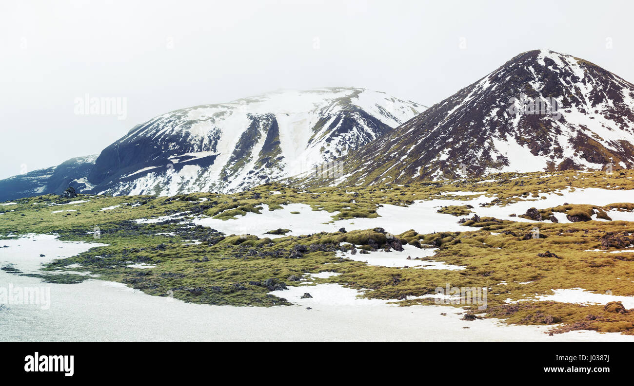 Paysage islandais Misty avec mousse verte qui croissent sur les rochers et les montagnes enneigées, côte sud de l'Islande Banque D'Images