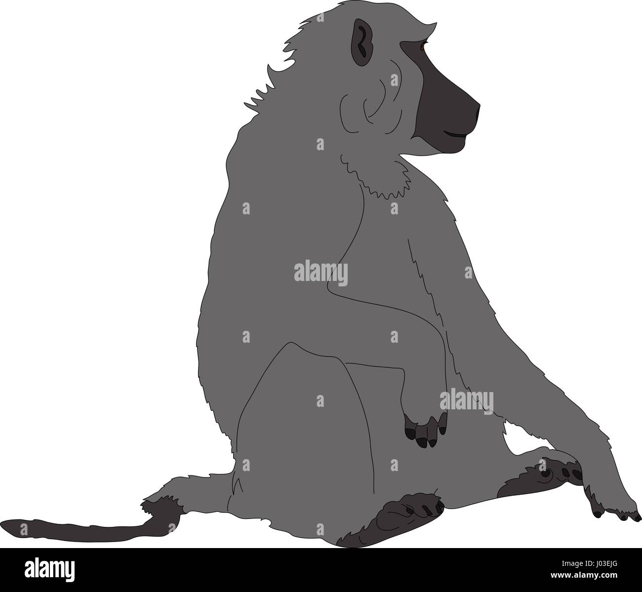 Portrait dessiné à la main d'un babouin sauvage Illustration de Vecteur