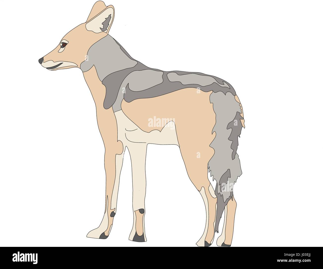 Portrait dessiné à la main d'un noir soutenu sauvages jackal Illustration de Vecteur