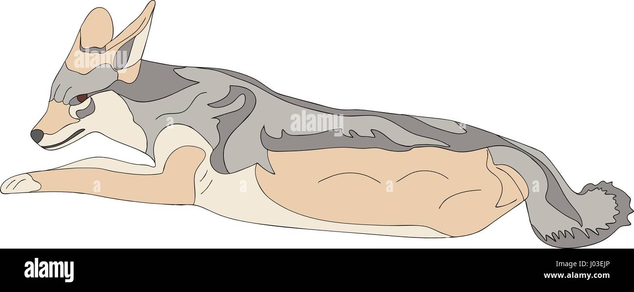Portrait dessiné à la main d'un noir soutenu sauvages jackal Illustration de Vecteur