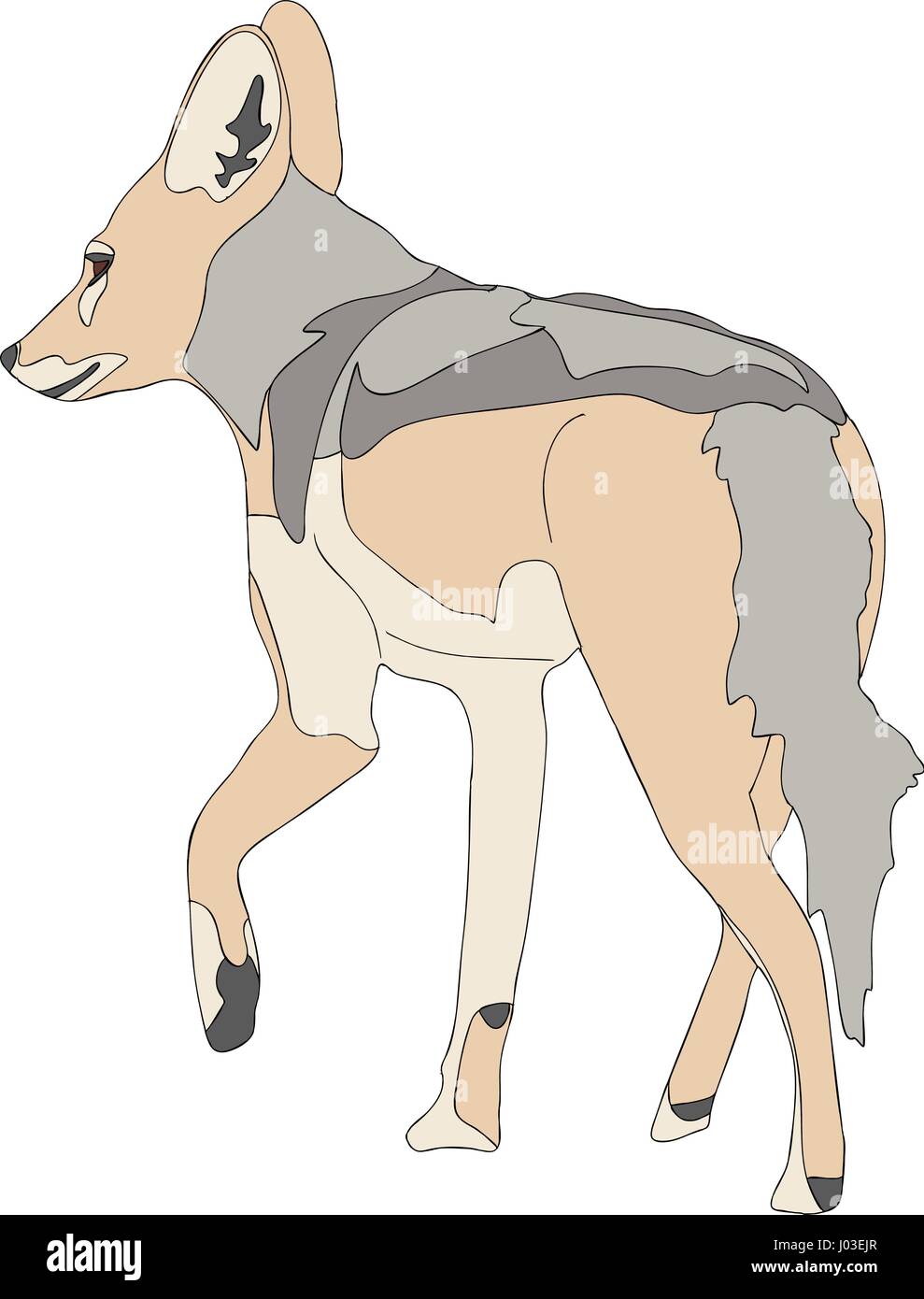 Portrait dessiné à la main d'un noir soutenu sauvages jackal Illustration de Vecteur