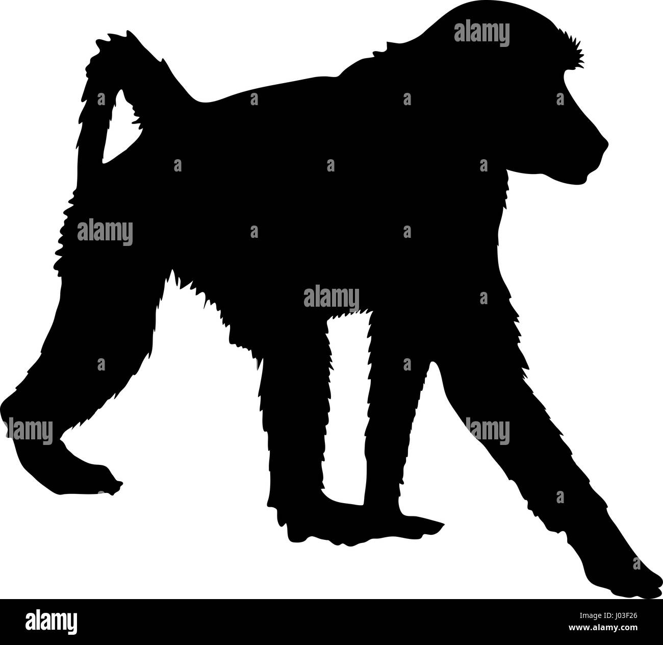 Hand drawn silhouette d'un babouin sauvage Illustration de Vecteur
