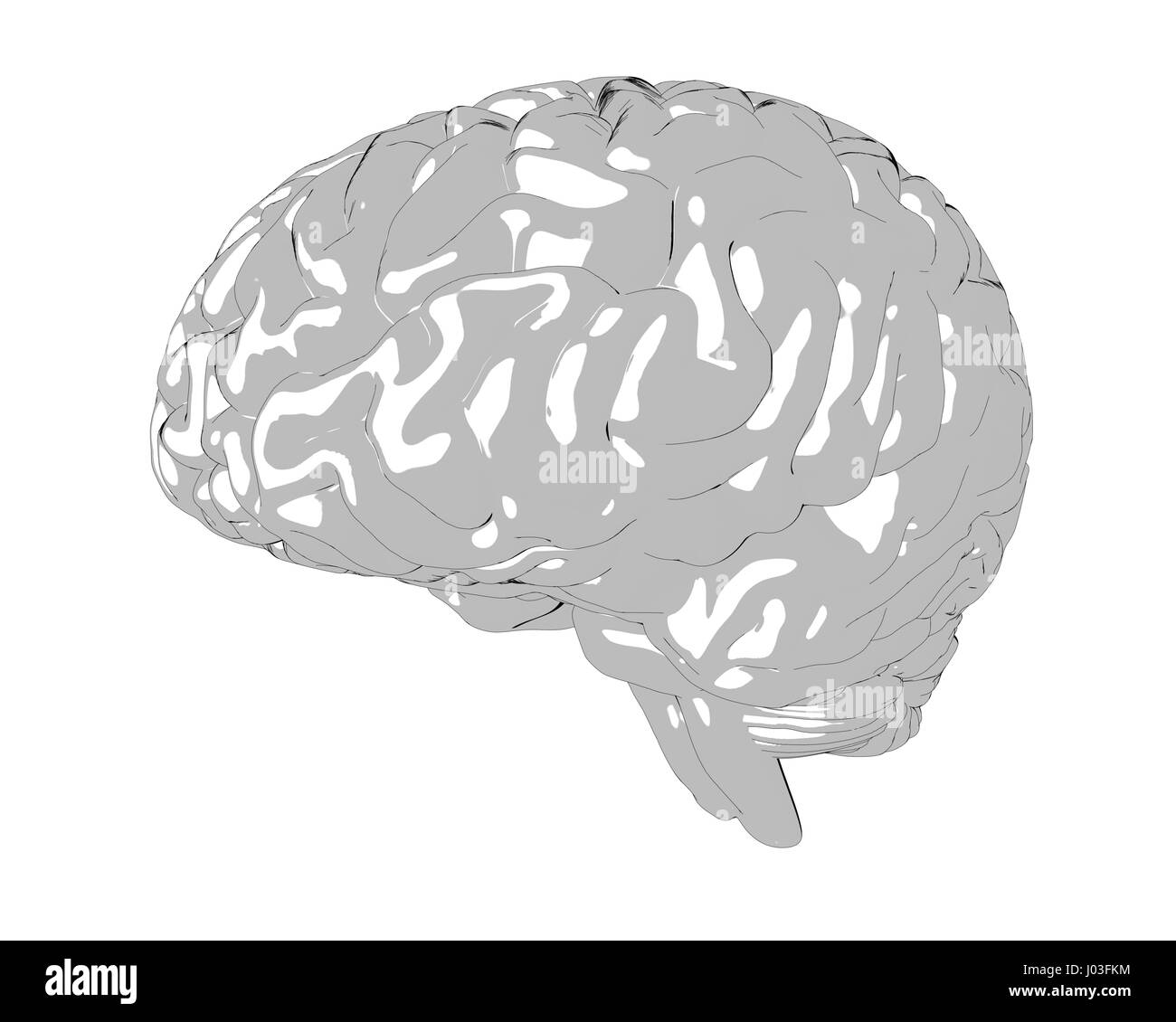 Rendu 3D du cerveau humain Banque D'Images