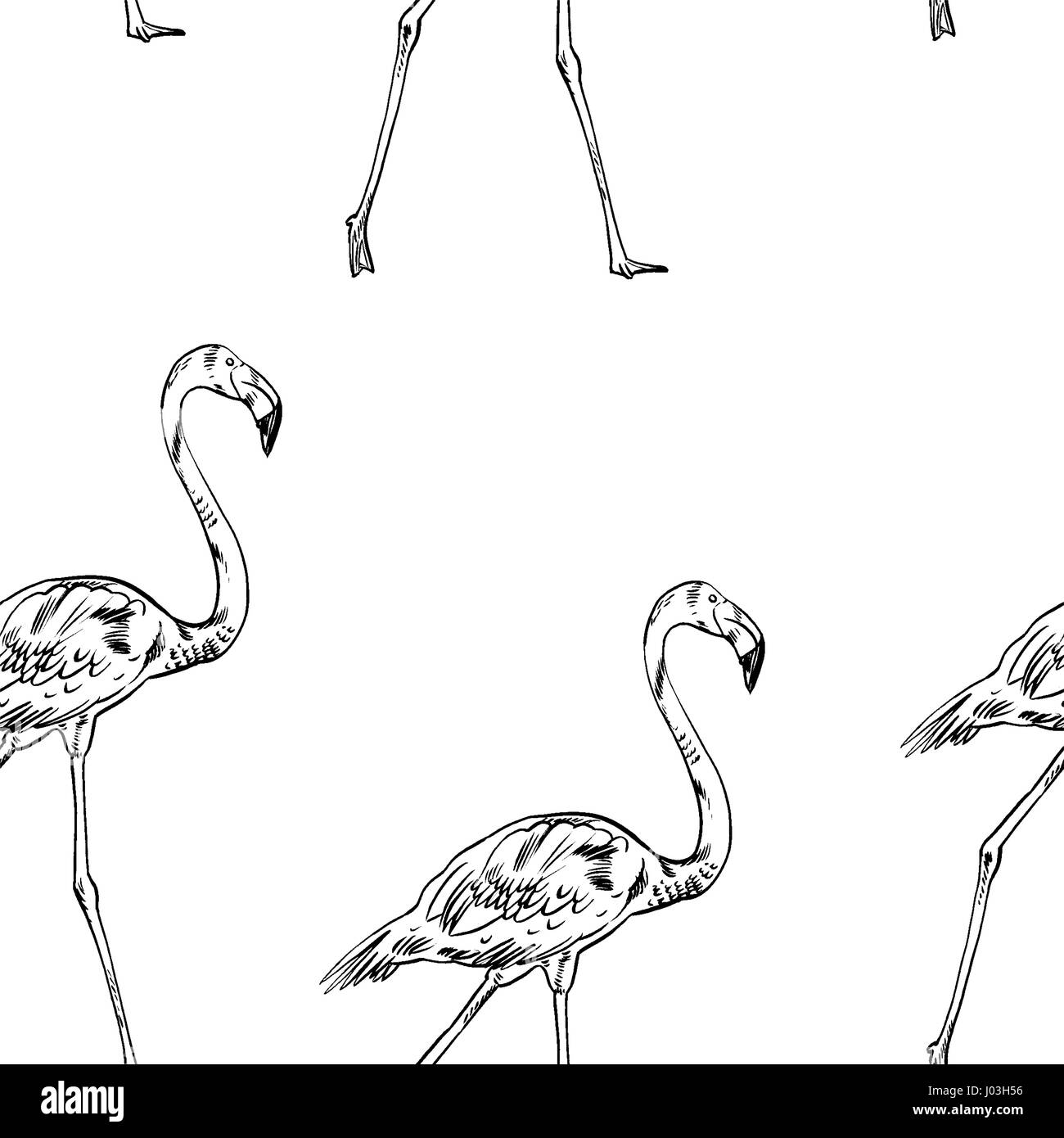 Flamant rose illustration Banque D'Images