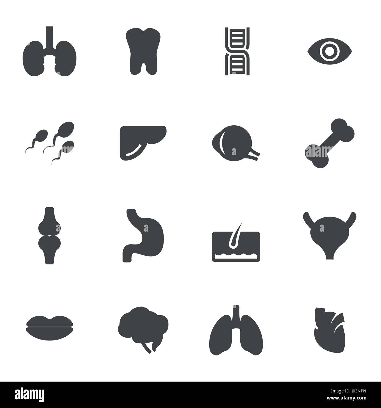 Vector icons set anatomie noir sur fond blanc Illustration de Vecteur