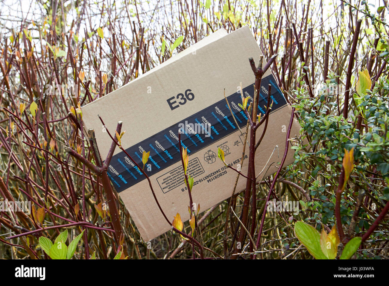 Amazon livraison premier fort déversés dans une haie Newtownabbey UK Banque D'Images