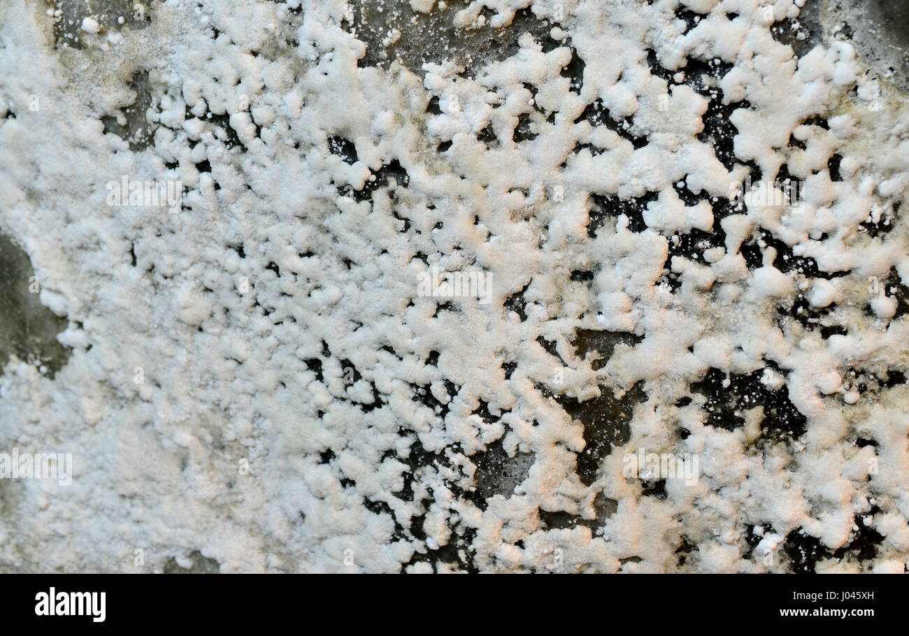 La texture du mur de la mine de sel de dépôts salins modèle cristaux Banque D'Images
