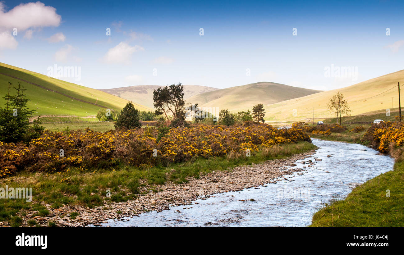 Le Leithin l'eau serpente à travers le paysage vallonné des collines près de Inverleithin Moorfoot en Ecosse de hautes terres du Sud. Banque D'Images