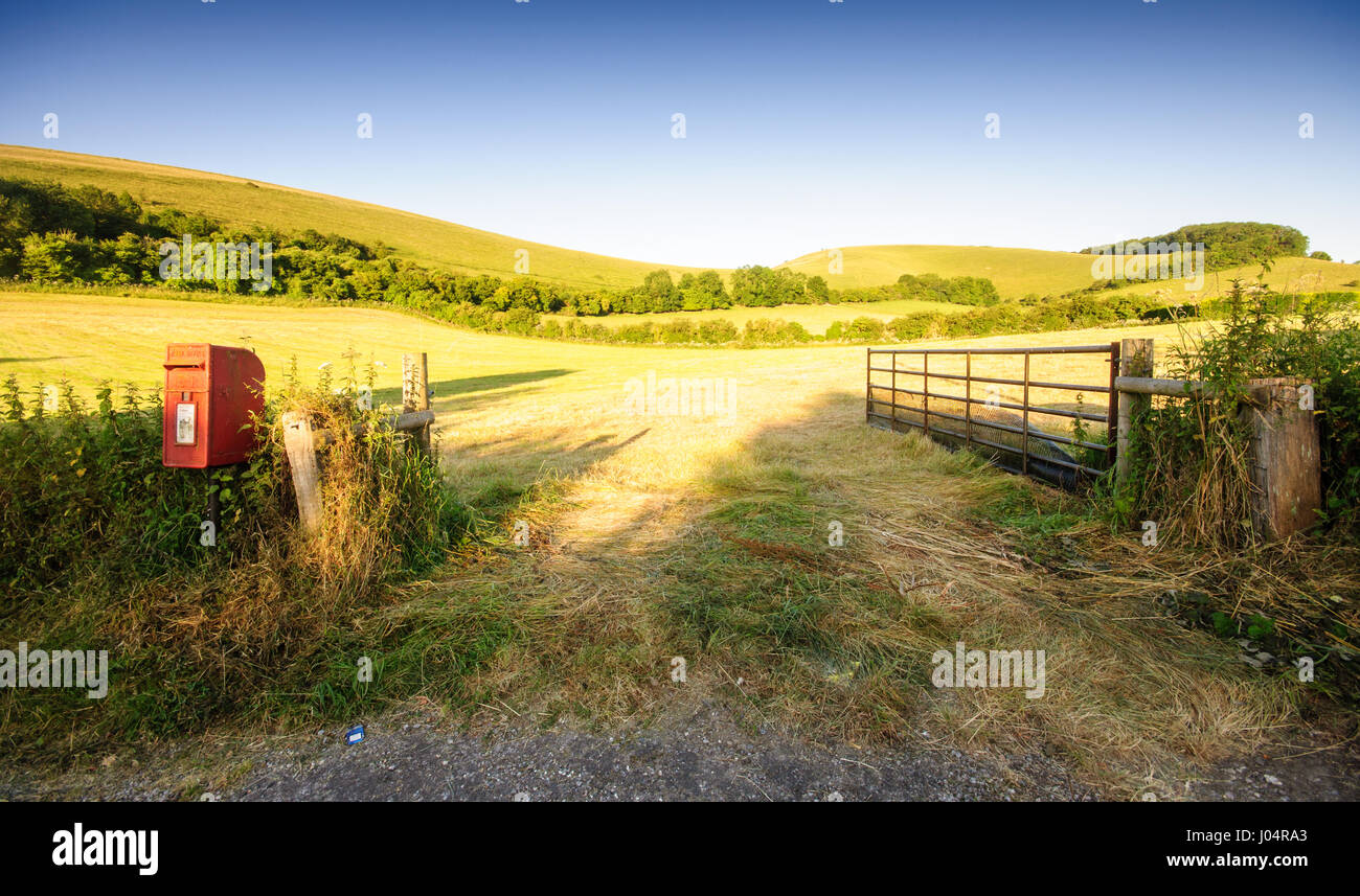 Tôt le matin, le soleil brille sur les champs de pâturages et de chaume dans les collines de City Gate abbas en Amérique du Dorset. Banque D'Images