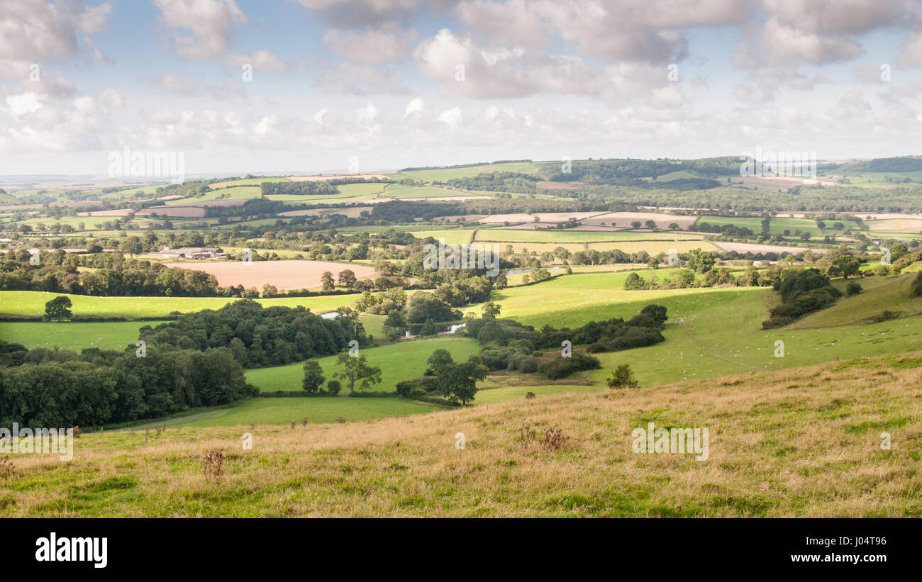 Bulbarrow Hill et le 'dorset gap" en Angleterre's dorset downs hills. Banque D'Images