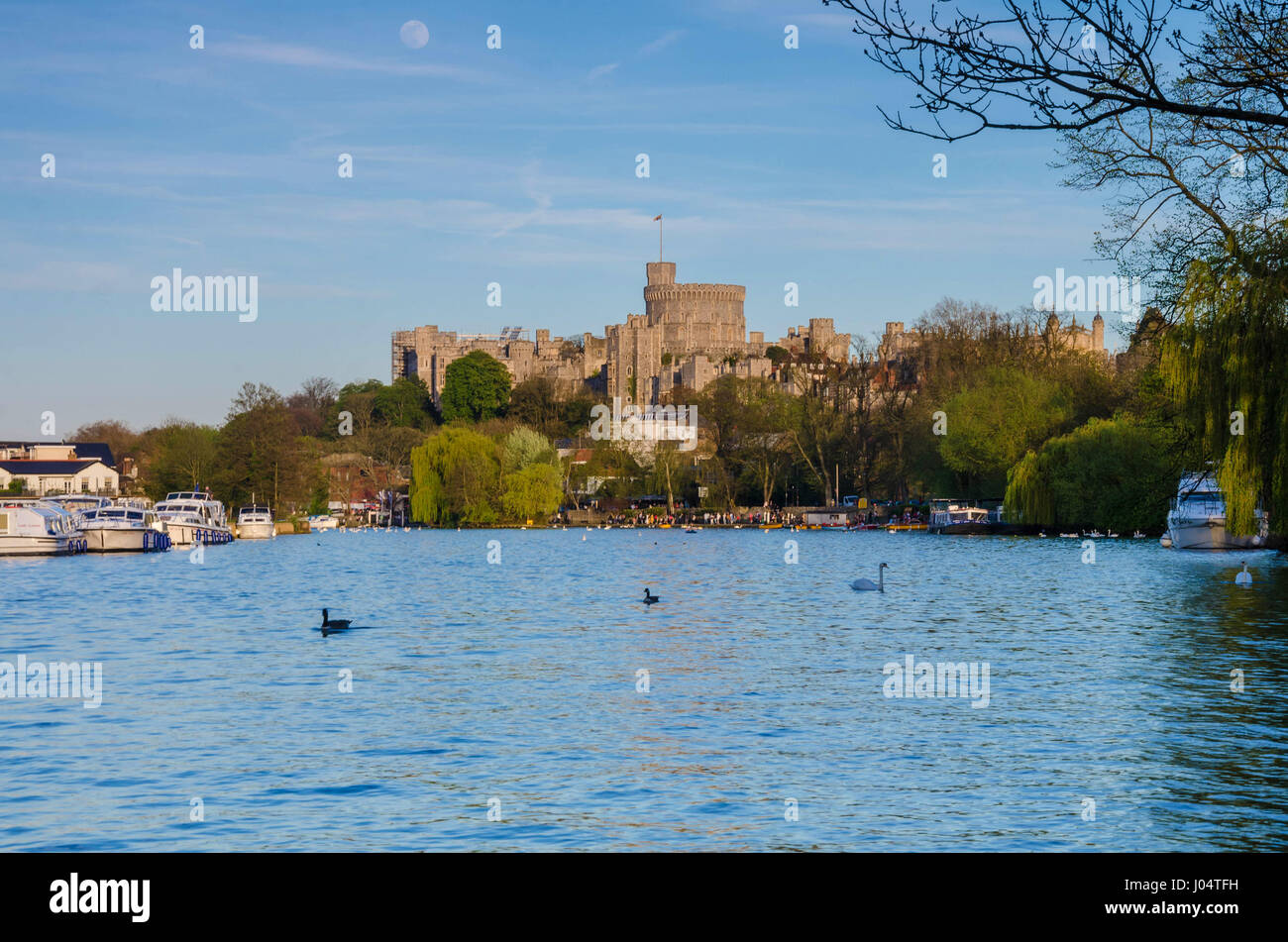 Une vue sur la Tamise vers le château de Windsor dans la soirée. Banque D'Images