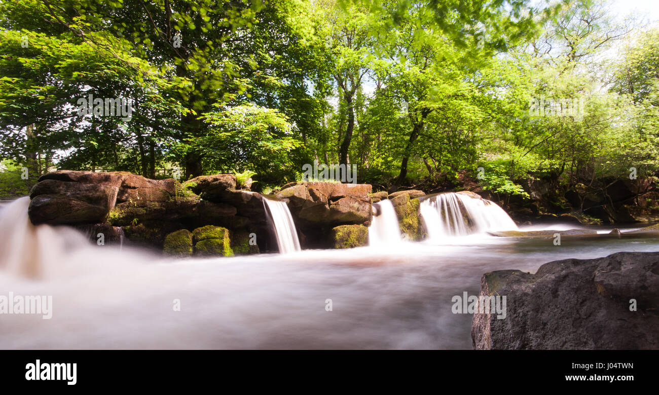 La Derwent dégringole au fil des cascades dans les bois près de Bamford dans la haute vallée de la Derwent, dans le Derbyshire Peak District National Park. Banque D'Images