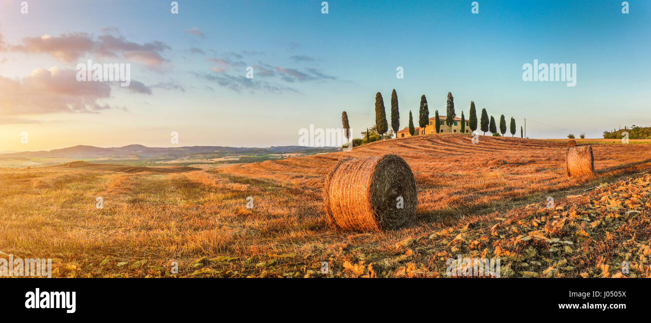 Vue panoramique de la belle Toscane paysage avec ferme traditionnelle et bottes de foin dans la lumière du soir d'or, Val d'Orcia, Italie Banque D'Images