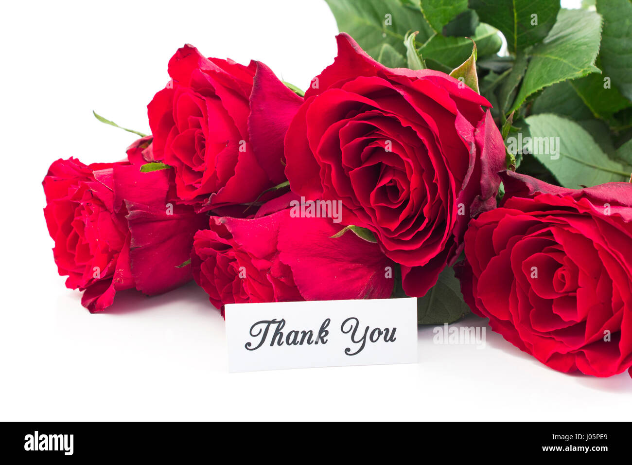 Carte de remerciement avec bouquet de roses rouges sur fond blanc. Banque D'Images