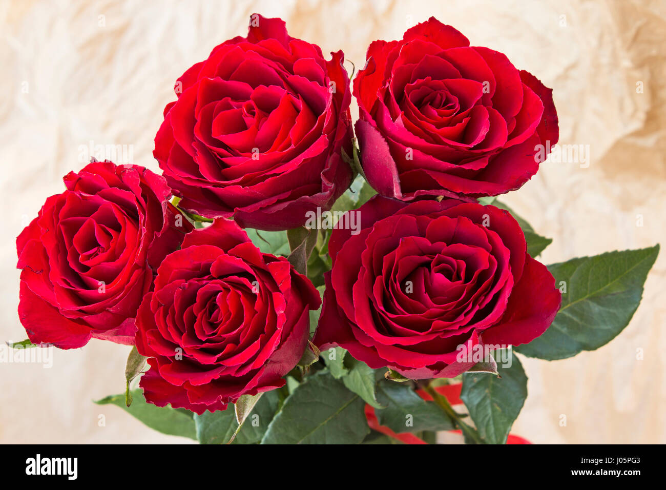 Bouquet de cinq roses rouges. Banque D'Images