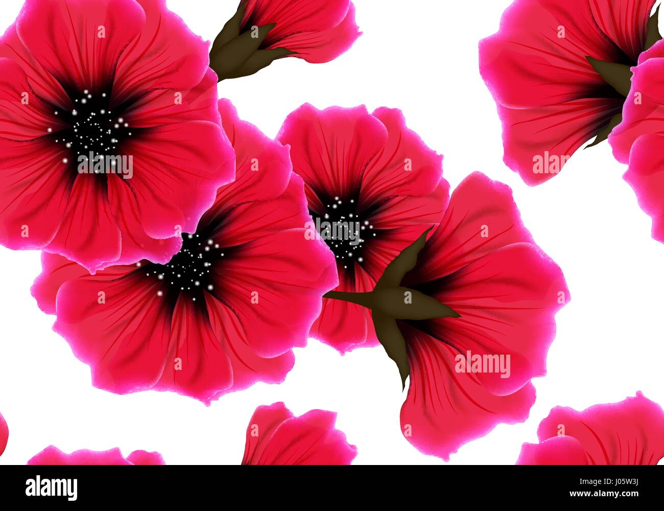 Transparente avec motif floral fleur rouge et rose petal sur blanc. Des couleurs vives lumineuses répétant passion arrière-plan. Chiffon de papier d'emballage ou de design. Illustration de Vecteur