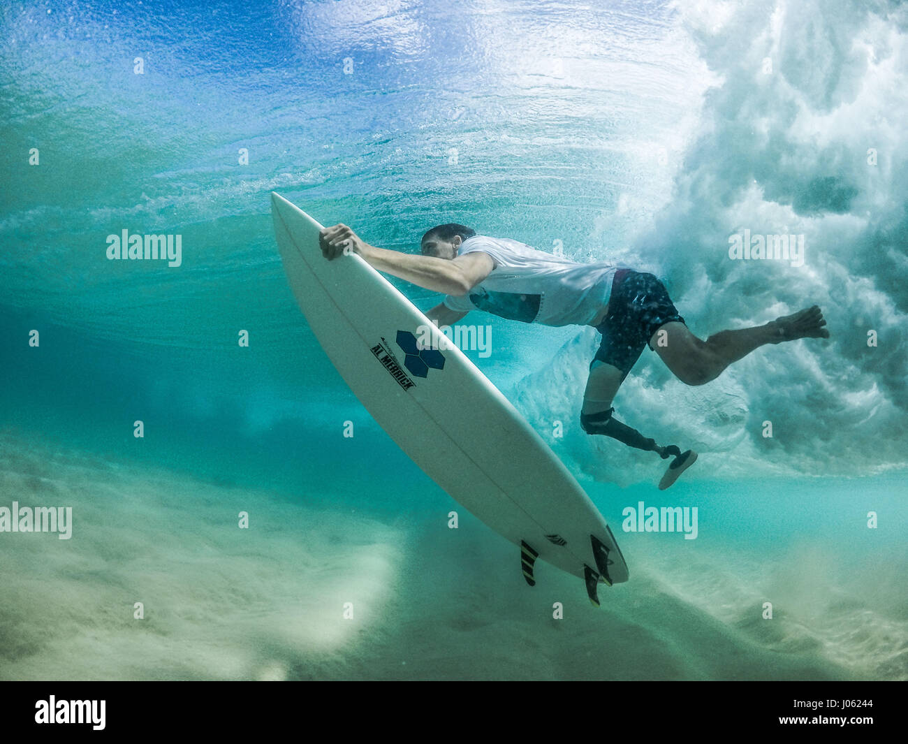 Surf requin tigre Banque de photographies et d'images à haute résolution -  Alamy