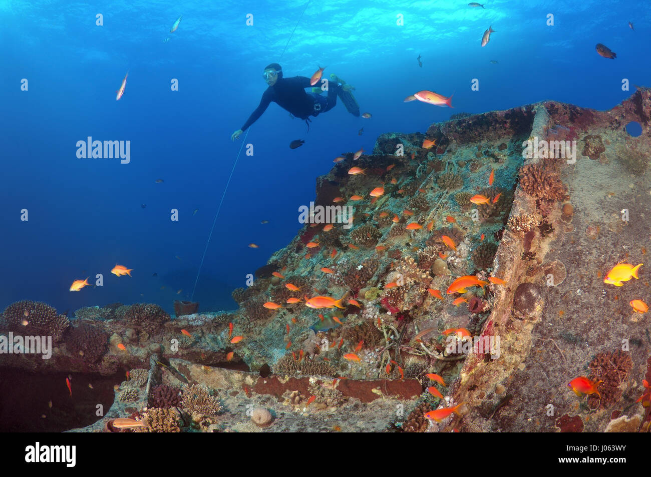 Combinaison De Plongee Militaire Banque D Image Et Photos Alamy