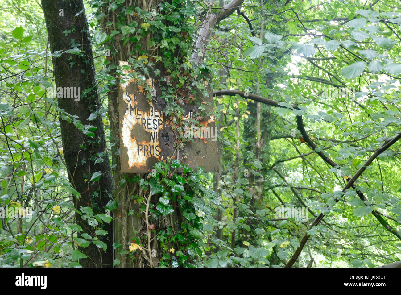 Le Derbyshire, UK : Est-ce que la ferme laitière abandonnées représentent la mort lente de l'agriculture rurale en Angleterre grâce à l'UE barmy quotas laitiers ? Images étranges et des séquences vidéo montrent la demeure intacte de la time capsule isolée ferme, laissé à l'abandon depuis les années 80 - une époque où l'UE difficiles les quotas laitiers ont été mis en vigueur, ce qui signifie que les producteurs laitiers britanniques a fait faillite. D'autres images semblent montrer un lit de fortune de squatteurs comme un matelas sale se trouve éparpillés à travers un sol couvert de décombres à la maison connu localement comme la "Maison des damnés." Les mousquetons et une vidéo ont été prises par un explorateur urbain britannique connu onl Banque D'Images