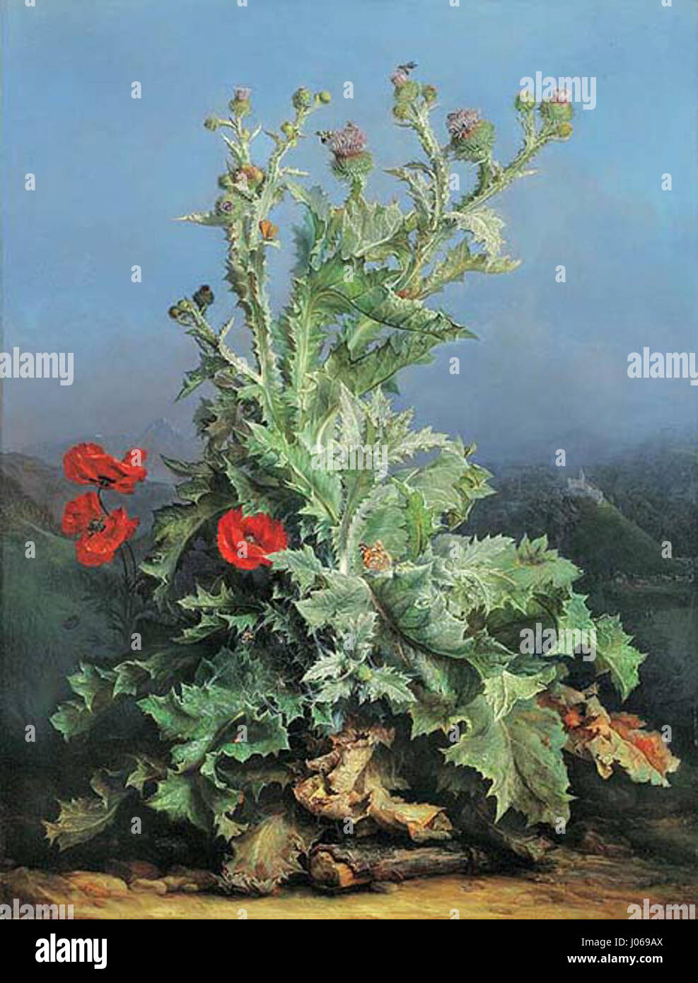 *Groges Distelstillleben* (Grande nature morte de chardon) de Franz Xaver Gruber est une peinture botanique détaillée qui met l'accent sur une plante de chardon, soulignant la nature délicate mais résiliente de cette espèce végétale. L'œuvre démontre l'attention de l'artiste aux détails fins et la beauté des imperfections de la nature. Banque D'Images