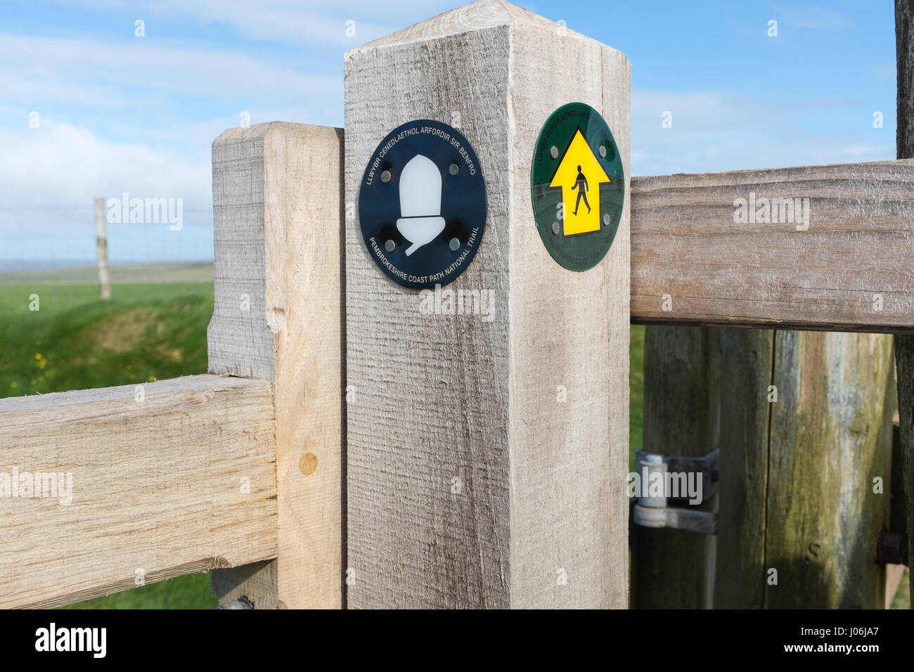 Fingerpost sur le chemin de la côte du Pembrokeshire au Pays de Galles Banque D'Images