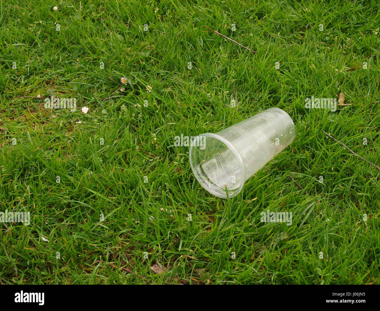Verre en plastique jetés sur l'herbe, Banque D'Images