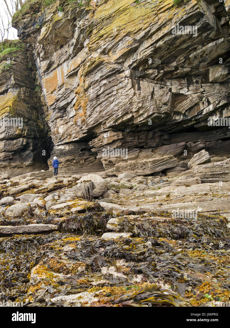 Walker ci-dessous falaises à Glasnakille, près de Elgol, Isle of Skye, Scotland, UK Banque D'Images