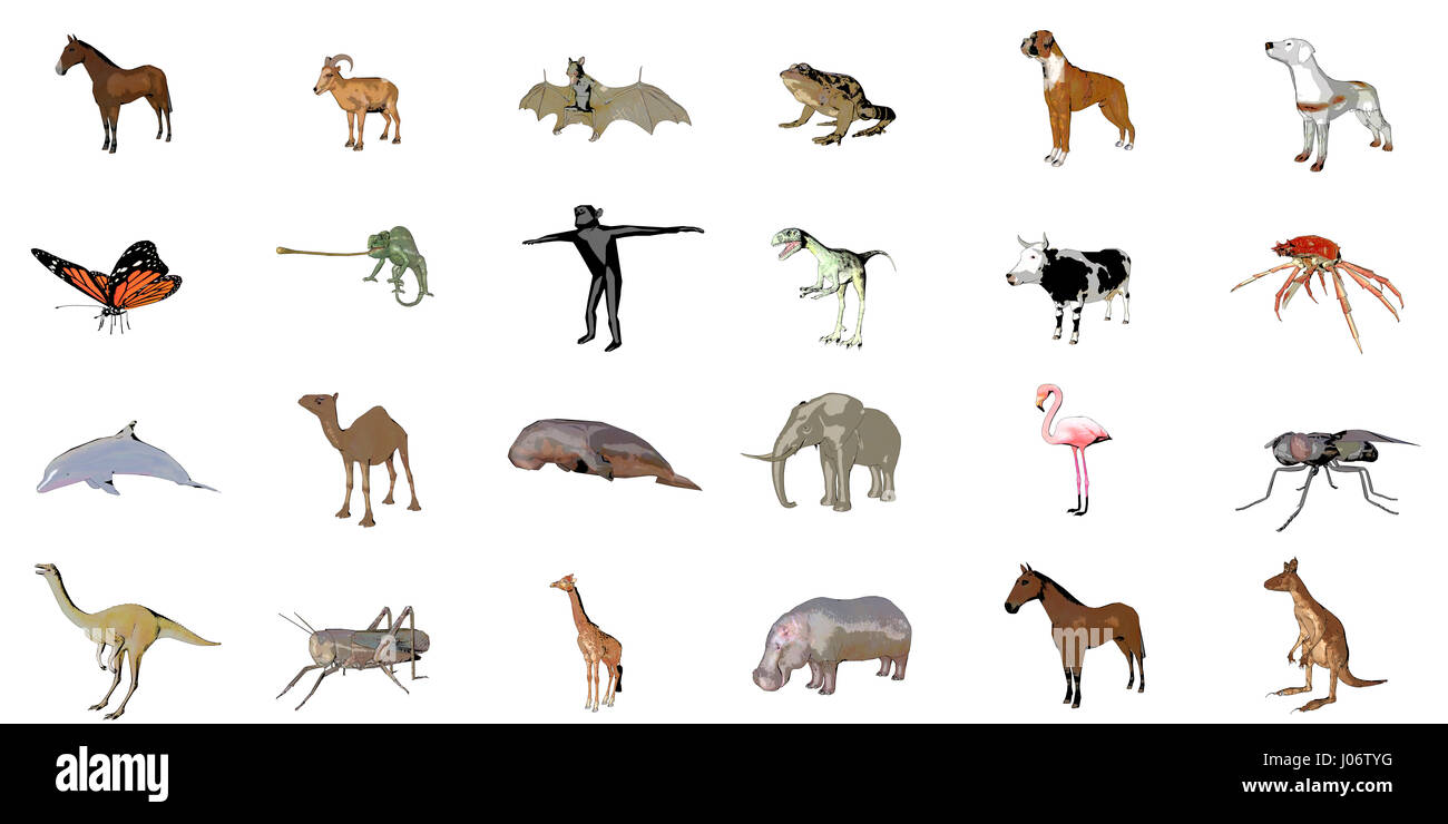 Grande collection de croquis animaux isolé sur blanc le rendu 3D Banque D'Images