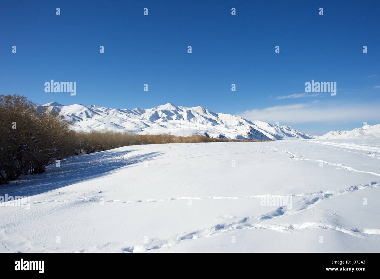 Le paysage pittoresque de la Mongolie Banque D'Images