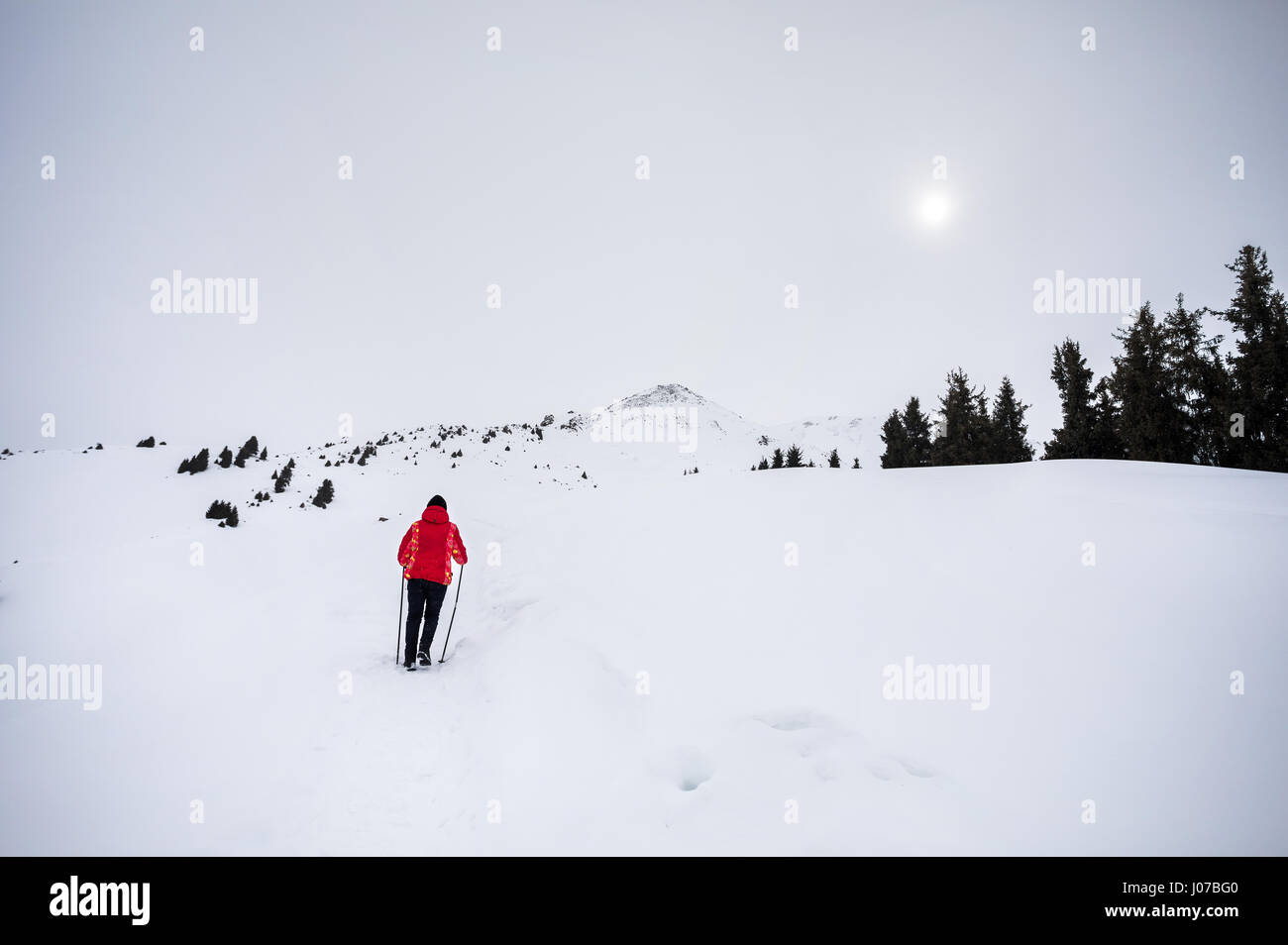 Séjour touristique en veste rouge avec pôle trekking au paysage de montagne d'hiver à jour brumeux Banque D'Images