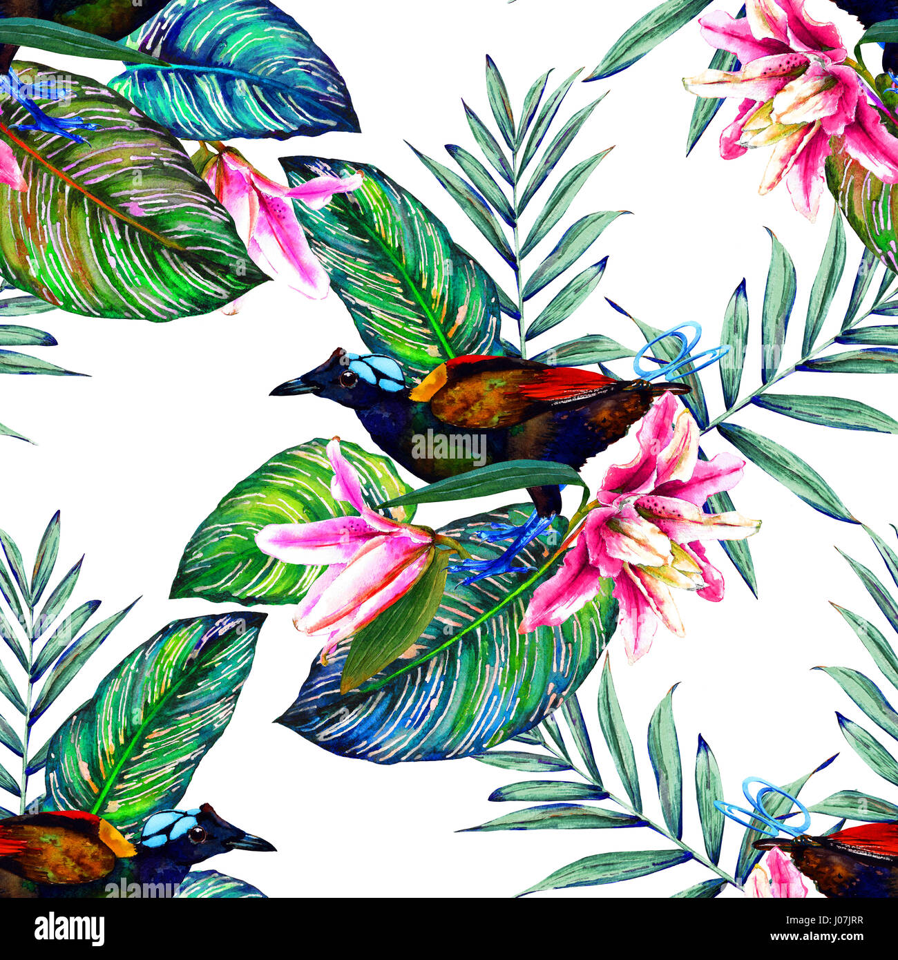 Tropical transparente motif floral. Plantes exotiques aquarelle : fleurs de lys rose, calathea leafs et des branches de palmier, Wilson's Bird of Paradise sur wh Banque D'Images