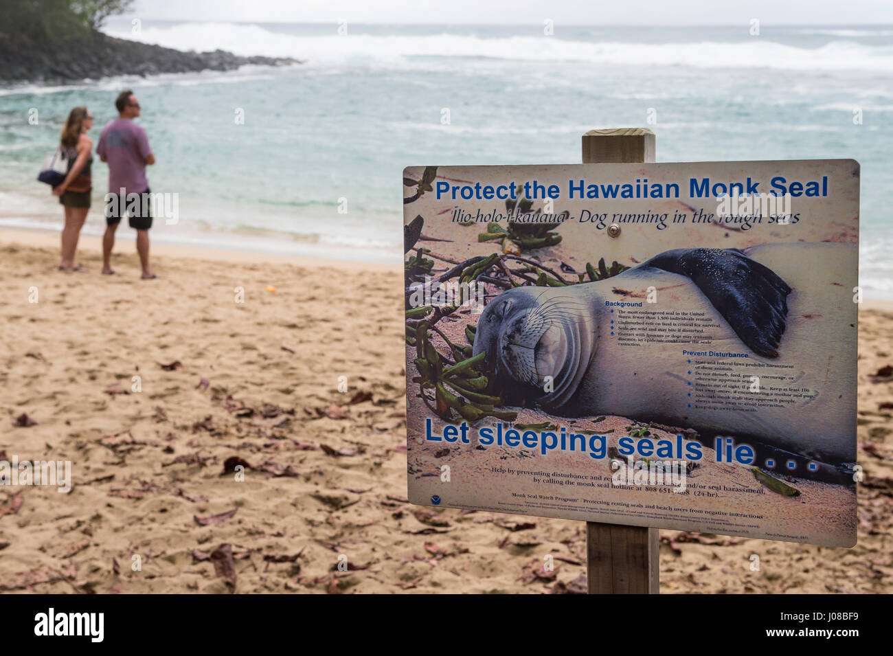 Les touristes se tiennent près de la protéger d'un Phoque moine Hawaiien signe, Ke'e Beach, Kauai, Hawaii, USA Banque D'Images