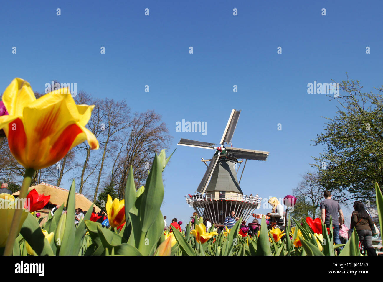 Vie quotidienne - Personnes à pied et profiter de près d'un parc floral de Keukenhof moulin à vent le 4 avril 2017 à Lisse, aux Pays-Bas. Connue comme le jardin de Keukenhof Banque D'Images