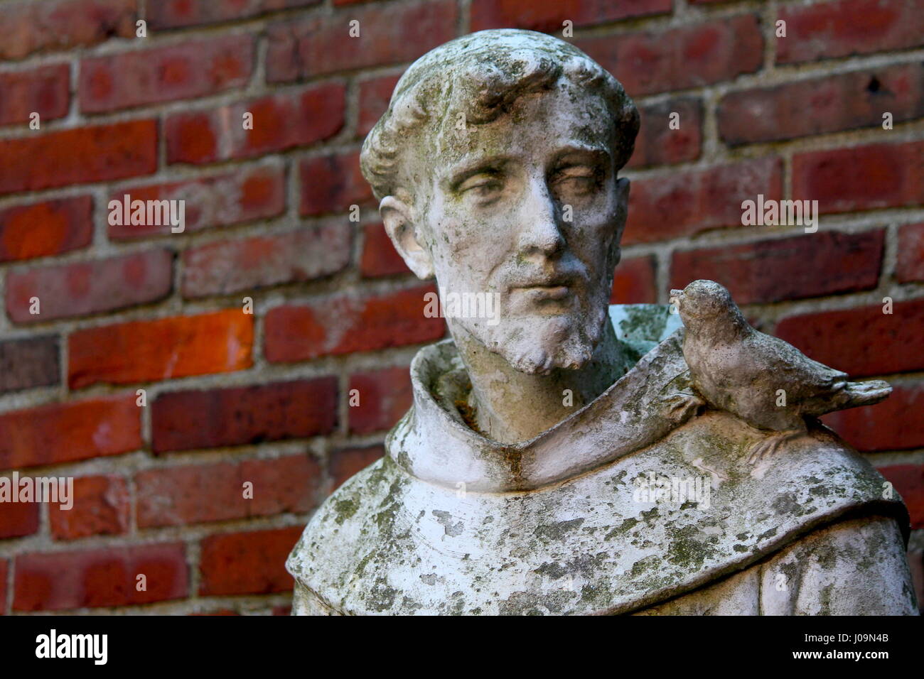 La sculpture de Saint Antoine avec Colombe sur l'épaule en avant du mur de brique rouge Banque D'Images
