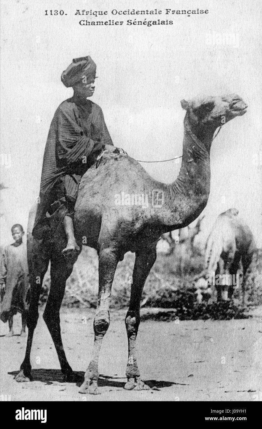 Carte postale historique. L'ouest de l'Afrique francophone Banque D'Images