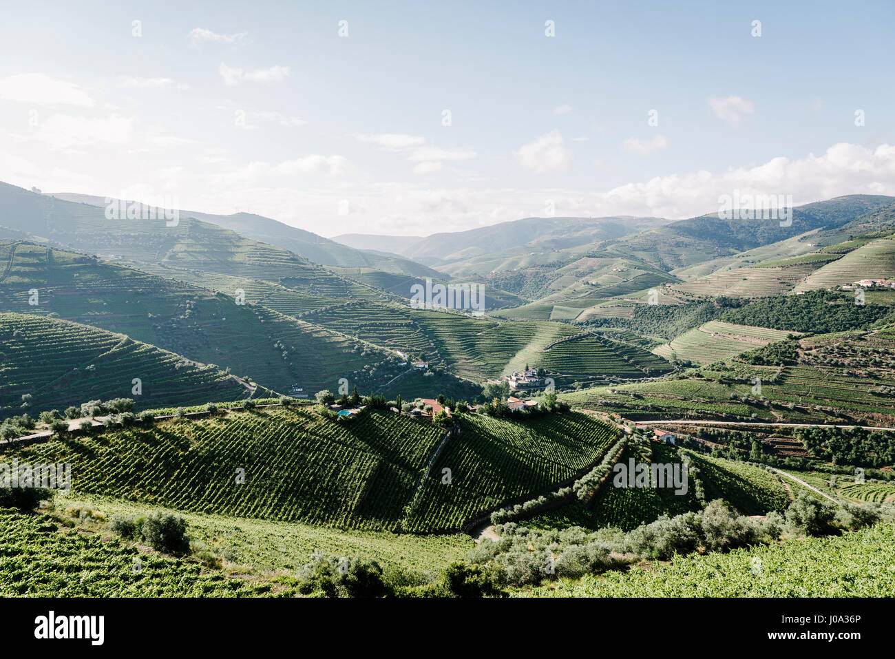 Paysage de la vallée de Douro avec vue sur quinta d. Maria, au Portugal. Banque D'Images