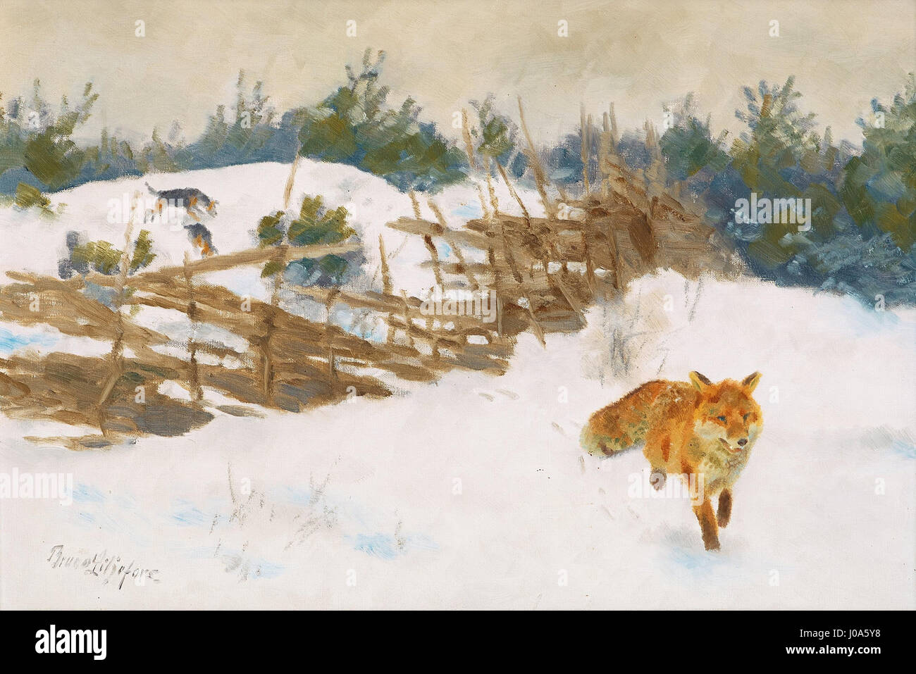 'Räv i vinterlandskap' de Bruno Liljefors est une peinture de paysage hivernale représentant un renard dans son habitat naturel. L’œuvre met en valeur la maîtrise de Liljefors dans la représentation des animaux dans leurs environnements, typique de son style naturaliste. Banque D'Images