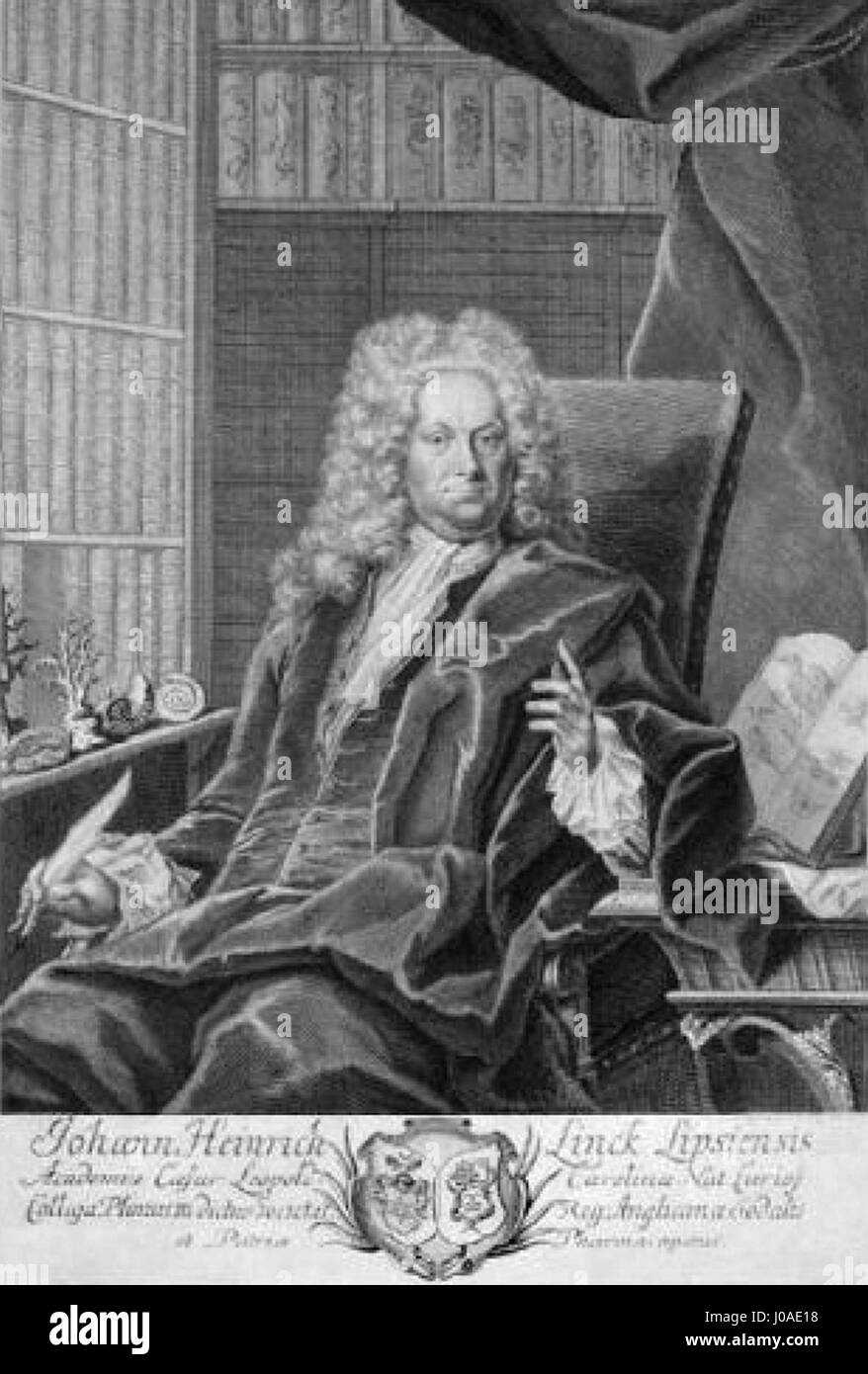 Johann Heinrich Linck l'ancien (1652-1722) était un médecin et naturaliste suisse, réputé pour ses contributions à la botanique et ses vastes collections de plantes. Banque D'Images