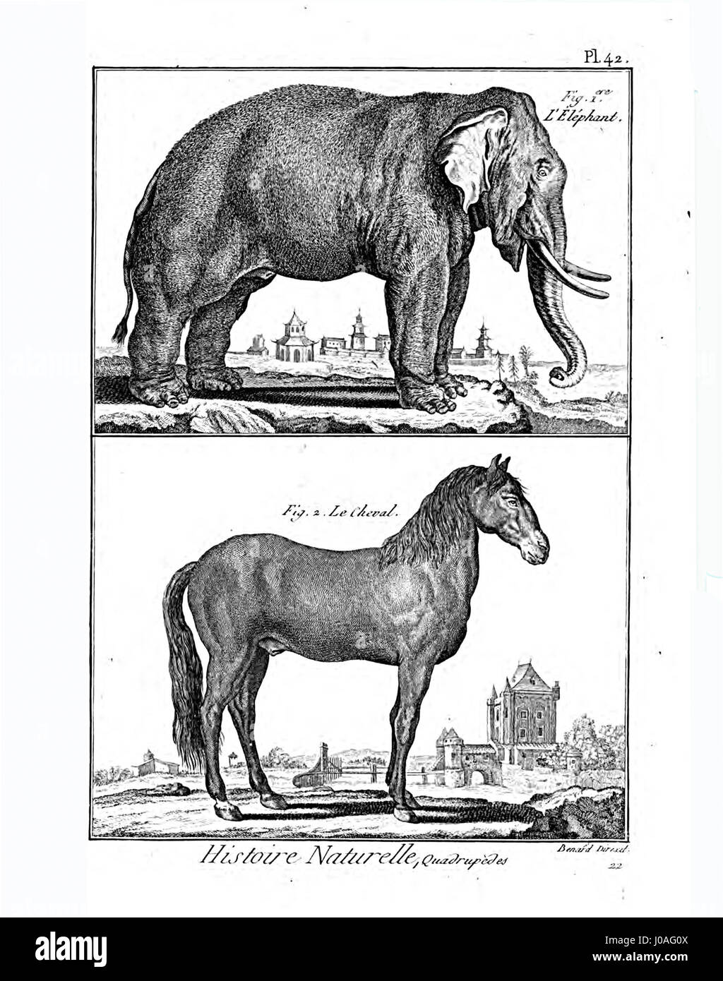 La planche 42 de l'Encyclopédie méthodique - Mammalogie offre une illustration détaillée des espèces de mammifères, mettant en valeur le travail des premiers zoologistes dans le catalogage de la diversité animale. Cette ressource est essentielle pour comprendre les études zoologiques historiques. Banque D'Images La planche 42 de l'Encyclopédie méthodique - Mammalogie offre une illustration détaillée des espèces de mammifères, mettant en valeur le travail des premiers zoologistes dans le catalogage de la diversité animale. Cette ressource est essentielle pour comprendre les études zoologiques historiques. Banque D'Images